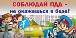 Профилактика ДДТТ